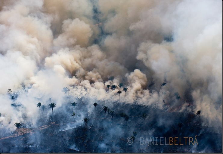 Man made fires to clear the land for cattle or crops. Sao Felix Do Xingu Municipality, Para State, Brazil.<br />