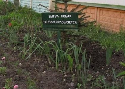 [276e695c07bd87ab5b51308b647_prev%255B3%255D.jpg]