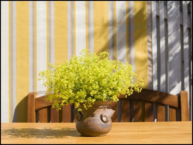 outdoor-vase