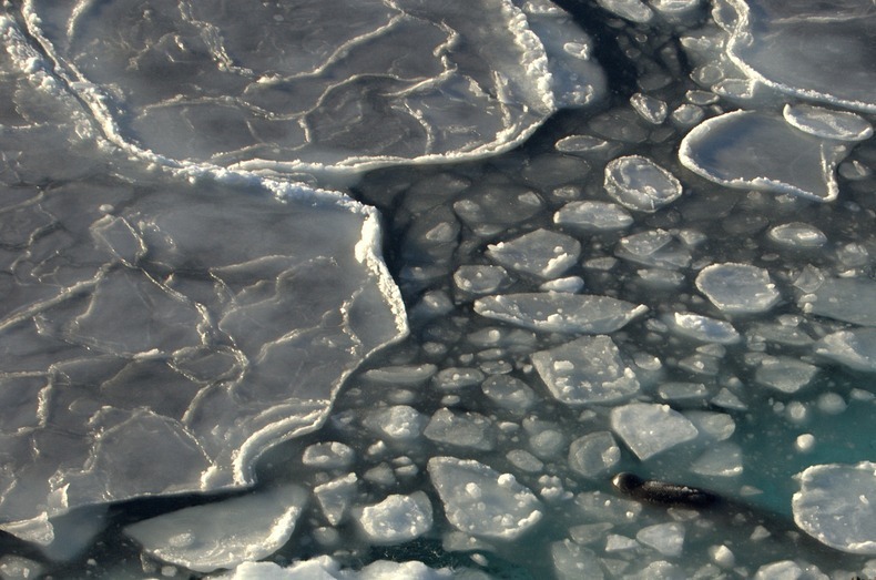 pancake-ice-6 pancake-ice-6