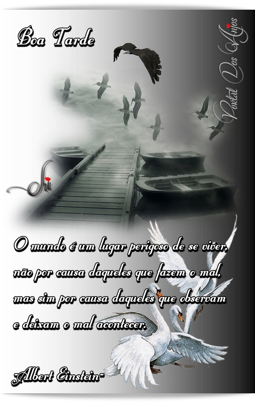 20112011diaportalsuzeti.JPG