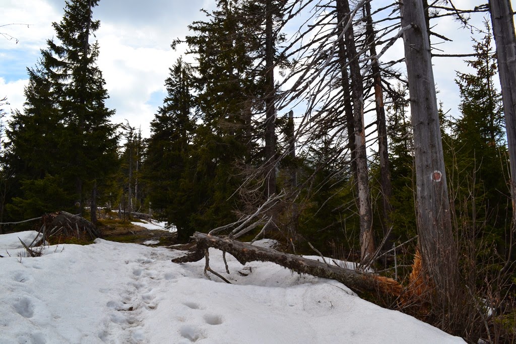 [DSC_65283.jpg]