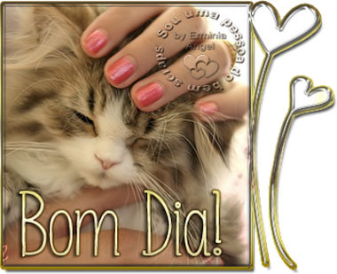 erminia2.png