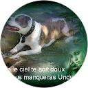 Image Google de florence frederic