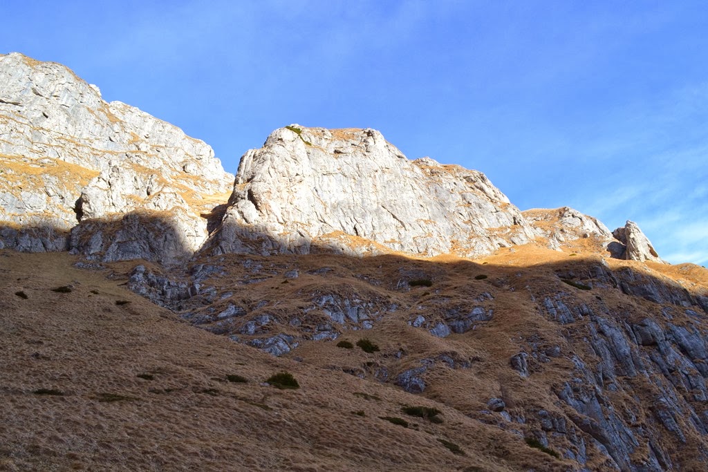 [DSC_03863.jpg]