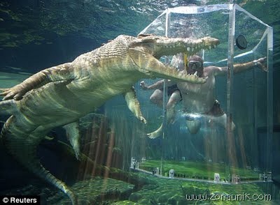 [buaya%2520air%2520asin%255B2%255D.jpg]