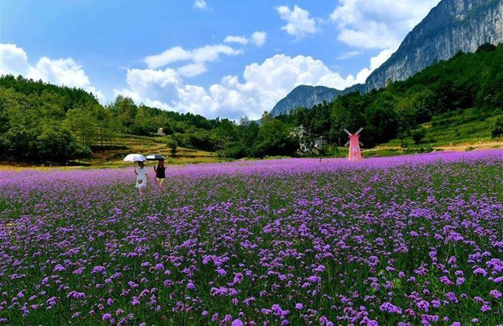 socialfeed-mazhe-village-in-enshi-central-chinas-hubei-province-has-attracted-many-tourists.jpg