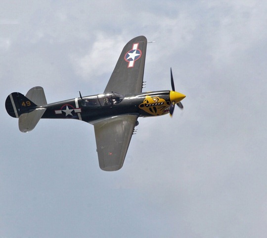 Curtiss P-40 Warhawk_33572729