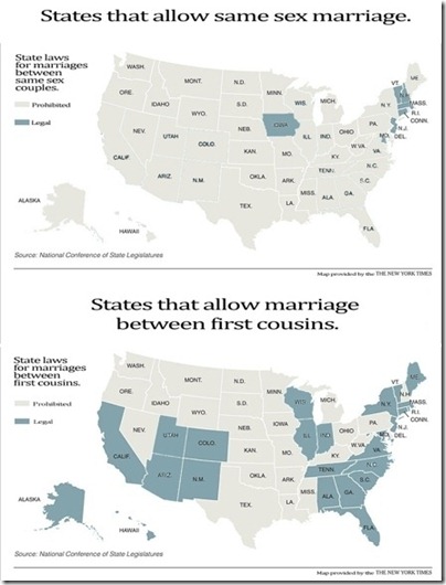 NYTimes-gay-marriage-cousins-graphic