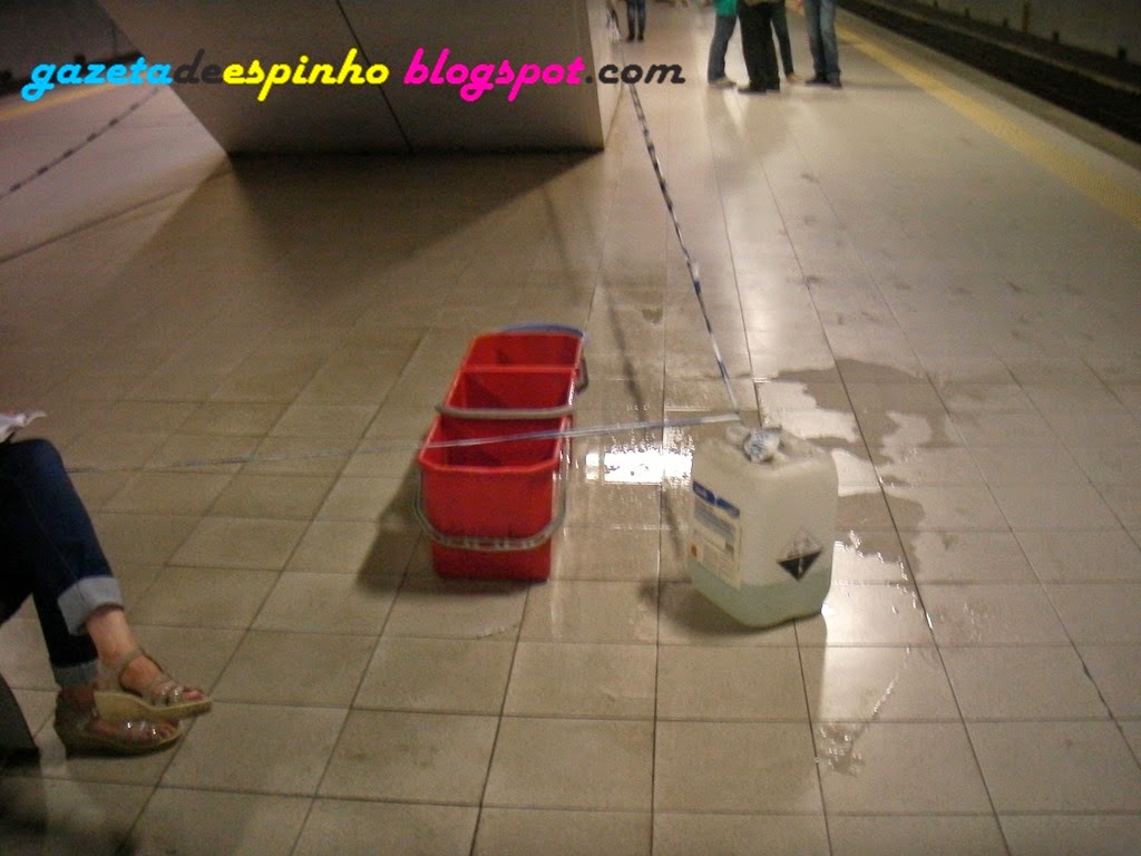 [GAZETA%2520DE%2520ESPINHO004Livro%2520MCS%255B3%255D.jpg]