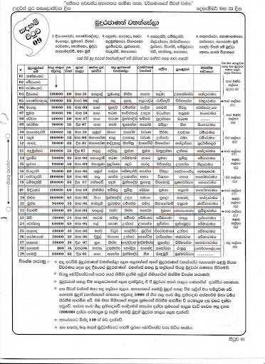 p9a.JPG