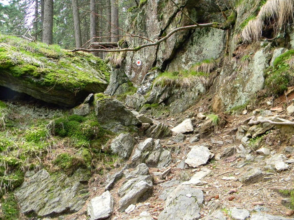 [DSCN53143.jpg]