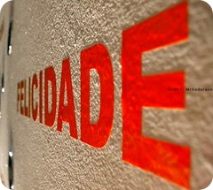 A felicidade pode estar mais perto do que você imagina… A felicidade pode estar mais perto do que você imagina…