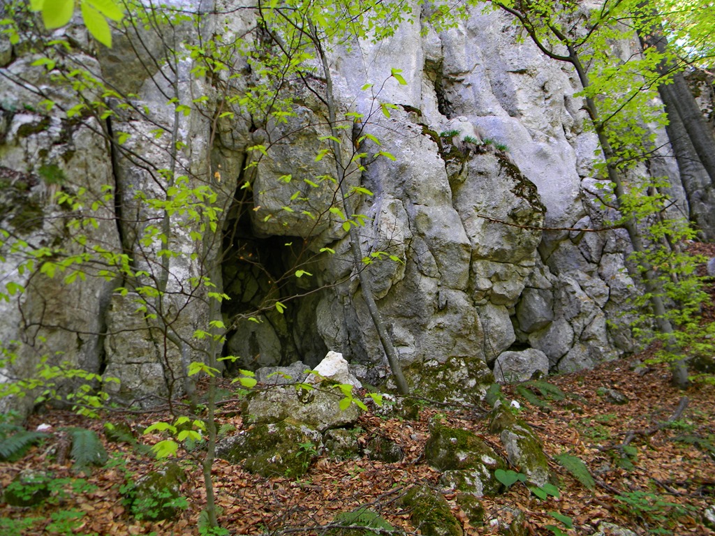 [DSCN83743.jpg]