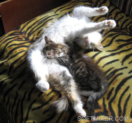 [1102%255B5%255D.jpg]