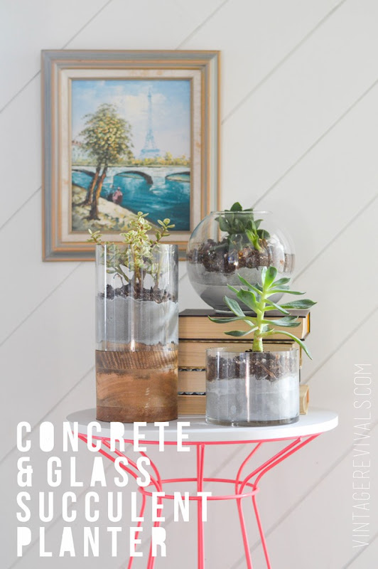 Concrete and Glass Succulent Planter vintagerevivals