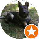 Adrian Popa profile picture