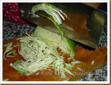 Cuscus integrale di farro con verdure miste al forno, insalata di cavolo cappuccio e fagioli neri piccanti (8)