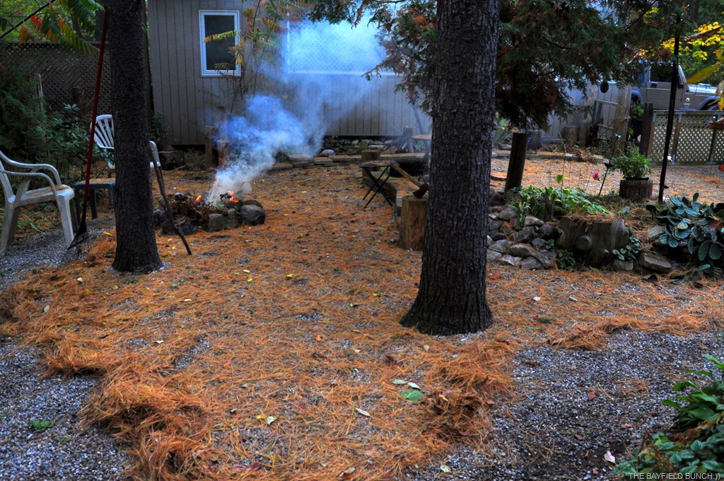 [DSC_0001%255B4%255D.jpg]