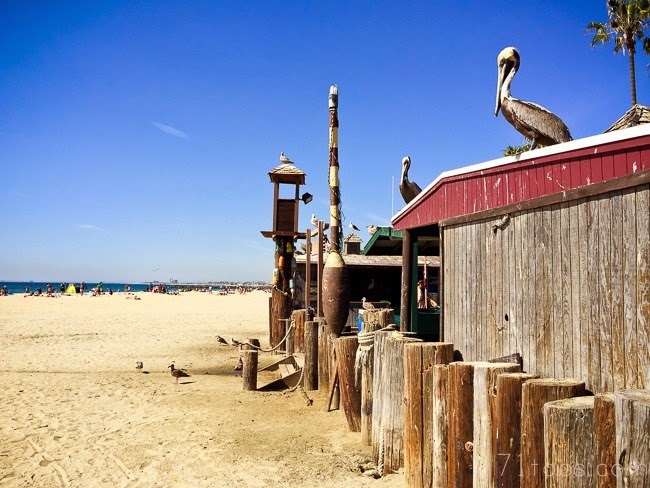 2015-03-12 california 103719 2015-03-12 california 103719