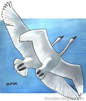 swans_painting