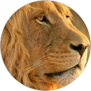 Elias Diazs profile picture