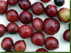 Camu Camu fruits b