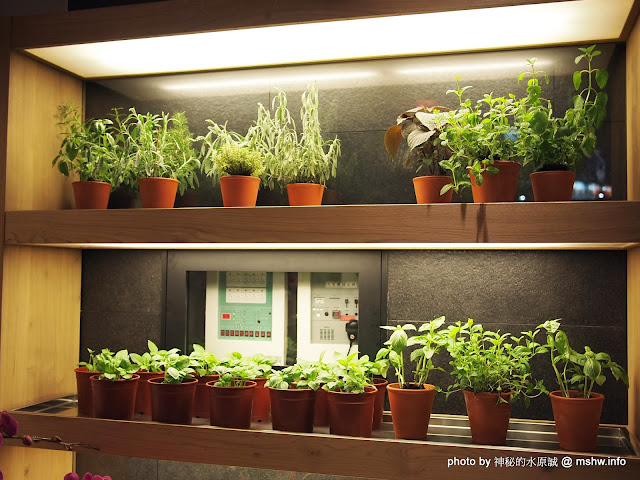 【食記】台中Vapiano Taichung 1 慢走義大利麵餐廳台中店@西區捷運BRT科博館 : 德國來的義麵品牌,但口味不如預期... 區域 午餐 台中市 宵夜 居酒屋 披薩 捷運美食MRT&BRT 晚餐 義式 西區 西式 酒類 飲食/食記/吃吃喝喝 麵食類 