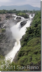 SueReno_Shivanasamudra Falls 8