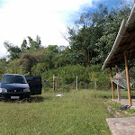Even on the road I had a feeling that I had visited this place before. Or at least the road, or the small town. In the morning, I went out for a walk with Hiranya. I was right! The property next to it is full of yellow bamboos. I had visited this place with a film crew who were hunting for a location. It was back in 2005 or so. Lal Jose sir and Kumar sir were searching for locations for their project Pattalam. I requested to take me too with them since they are passing through my village and wanted directions to get to Ooty. Here, what you see beyond the car is that property where we stopped to have lunch. IMAG1388.jpg