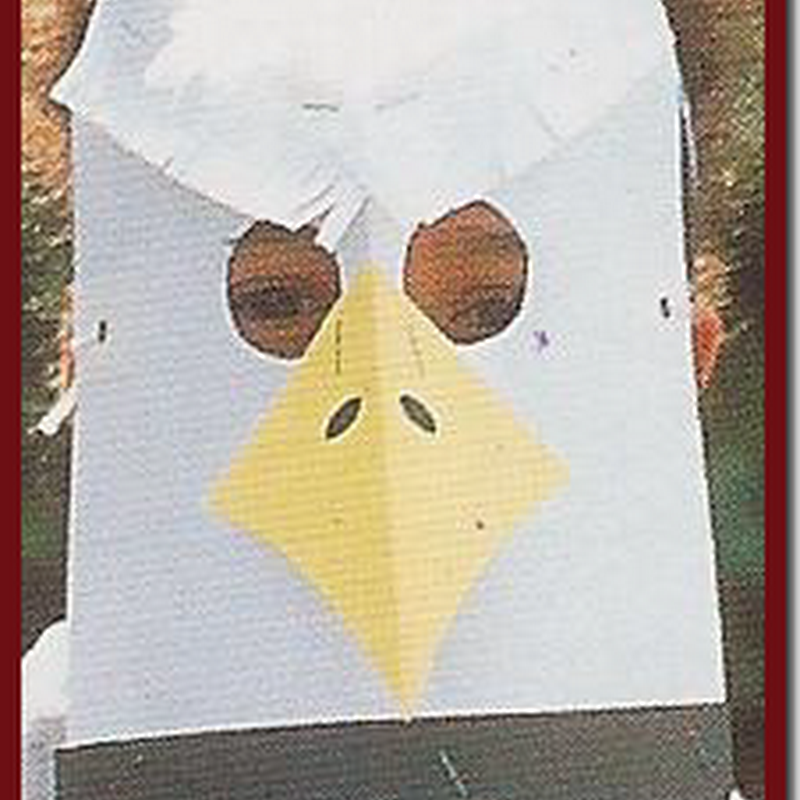 Máscara de águila para manualidades taller de disfraces