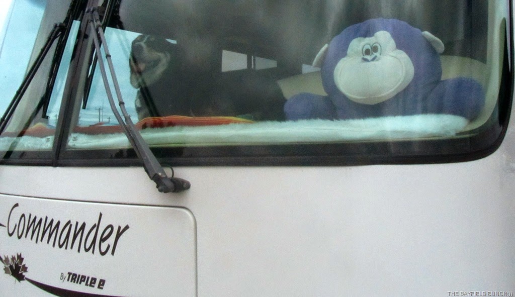 [IMG_1531%255B4%255D.jpg]