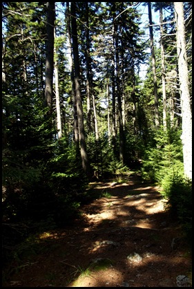 TNC hike, Pretty Marsh picnic, Bernard, Bass Harbor Light 216