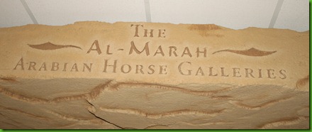 Arabia horses
