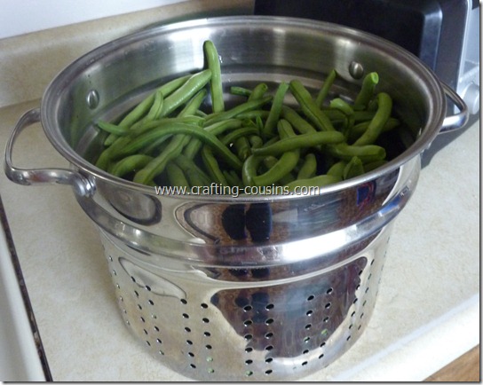blanch and freeze green beans (31)