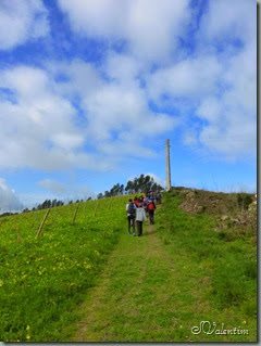 P1070854 P1070854