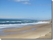 IMG_6615 IMG_6615