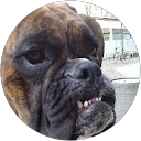 Thomas Leuoth profile picture