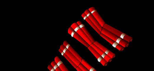 img-uma-linda-noite-para-voc%25C3%25AA.g