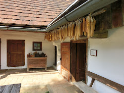 Burgenland 2012 - 035