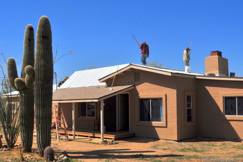 [DSC_0045%255B4%255D.jpg]