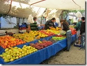 IMG_8091 IMG_8091
