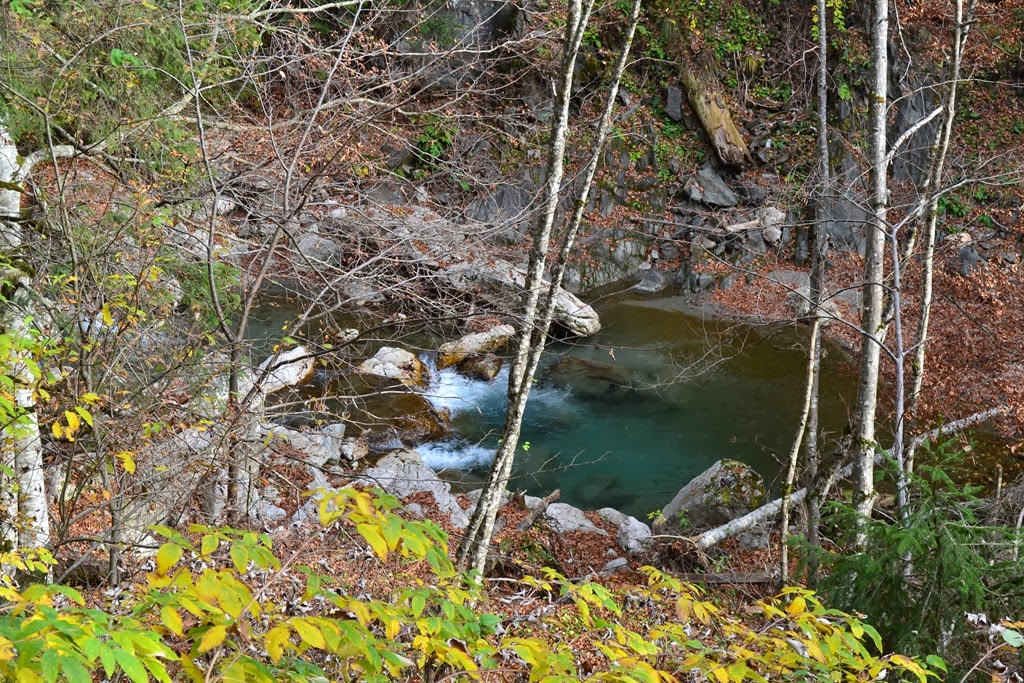 [DSC_05423.jpg]