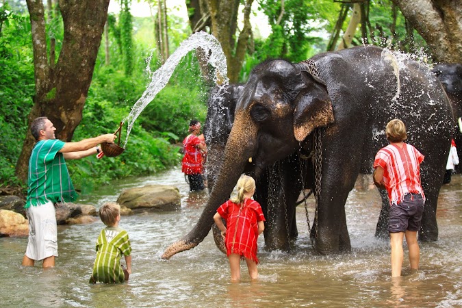 Imagini Thailanda: spaland un elefant in rau, Patara, Thailanda