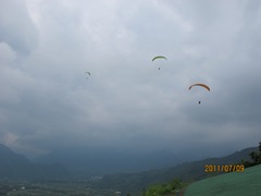 110709 182-台東鹿野
