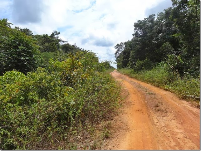 BR-319_Humaita_Manaus_Day_3_DSC05571