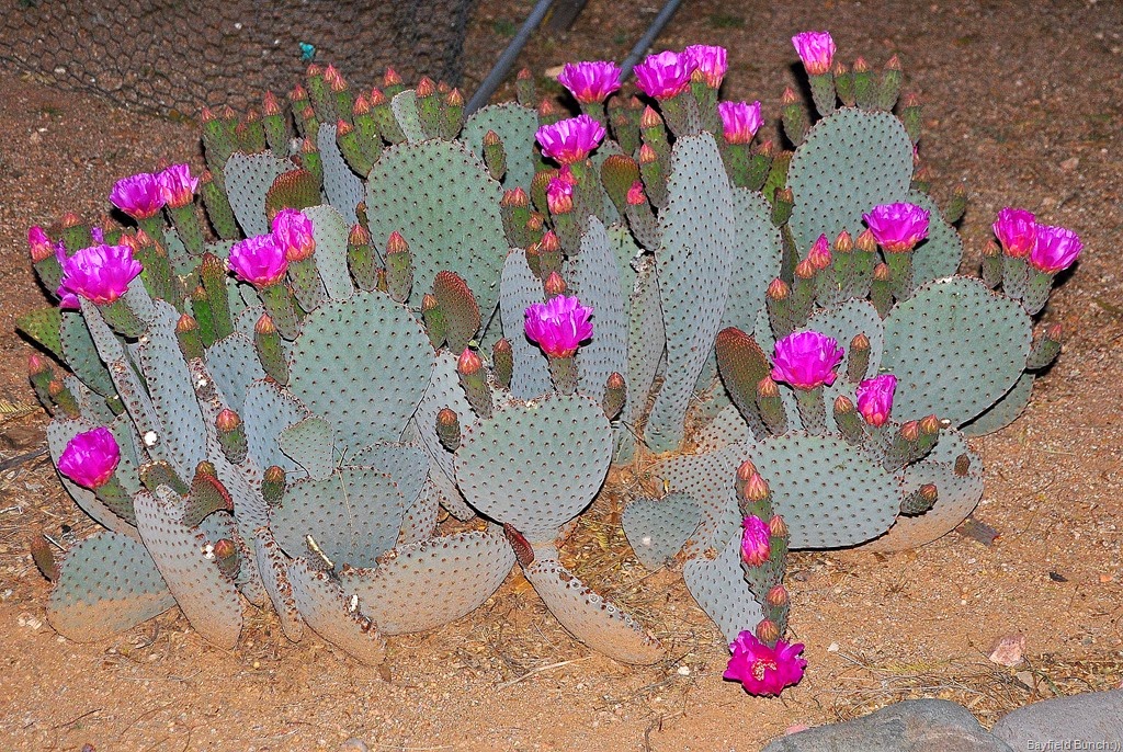 [DSC_0031%255B4%255D.jpg]