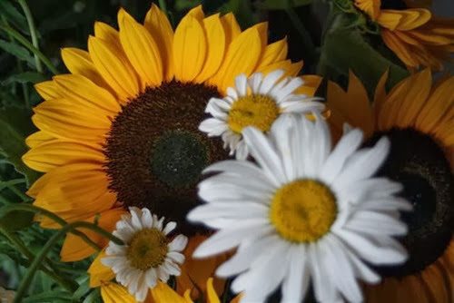 20090713 (1) (Small)