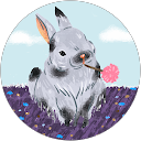 Image Google de Elodie P