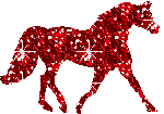 caballos%252520%2525286%252529_thumb